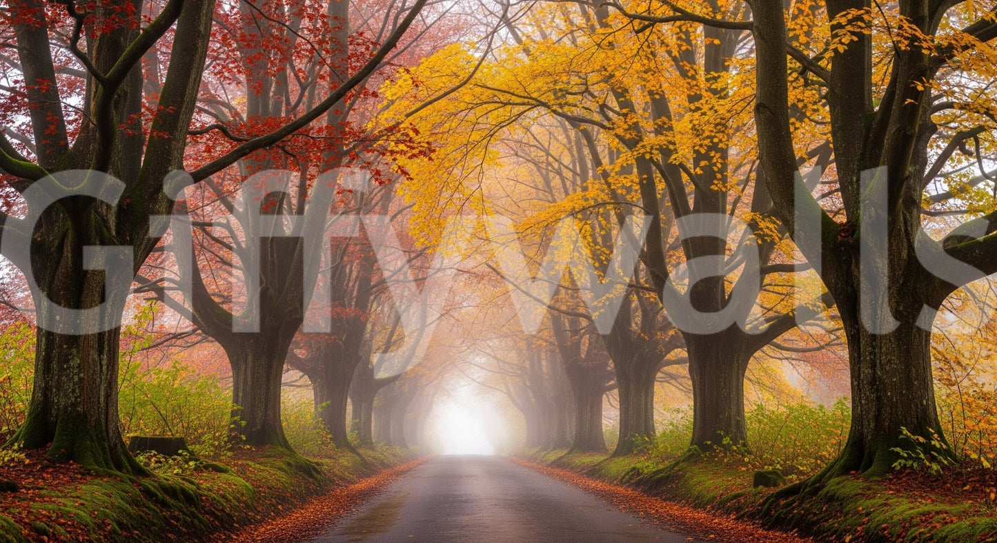 Fall road mural in hallway, long wall landscape, warm colors with misty depth