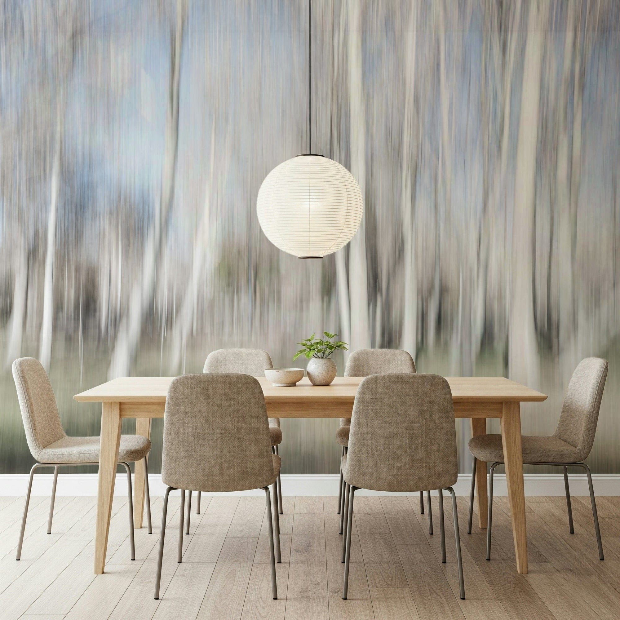 Ethereal Forest Light wallpaper mural of blurred birch trees behind a wood dining table and beige chairs in a dining room