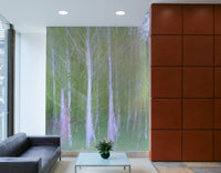 A soft, diffused light seems to emanate from deep within the forest.

