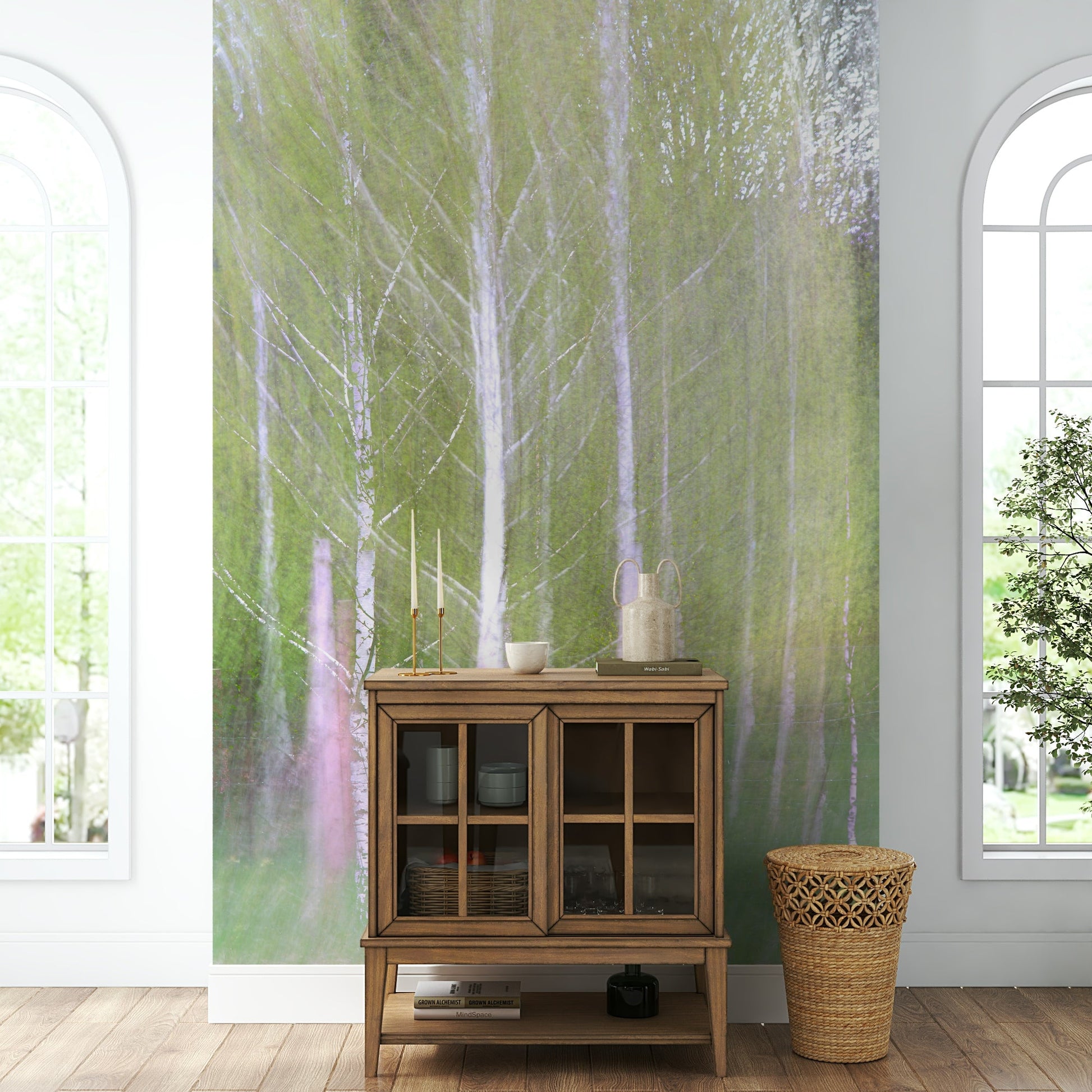 Tall, slender birch tree trunks with white and grey bark are the main subject.

