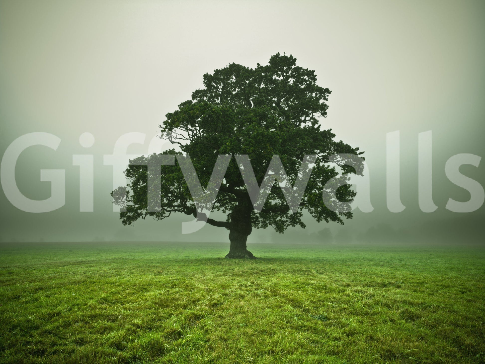 Sublime Ethereal Presence wall mural, peaceful field setting, enduring tree.