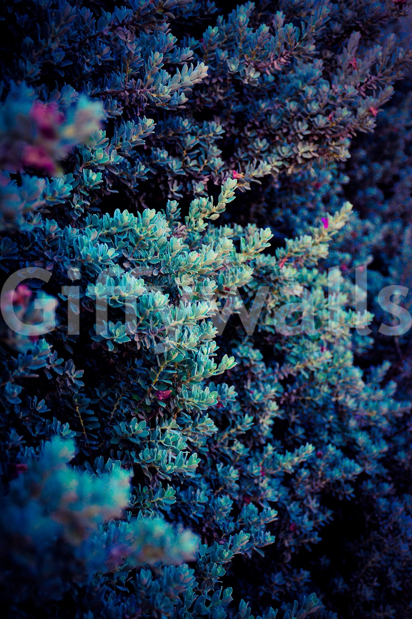 A high-quality minimalist wall mural for walls.

