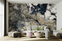 Silhouetted branches and sky mural
