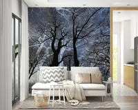 Ethereal Tree Silhouette wall mural of dark trees behind a white sofa with grey chevron and tan pillows