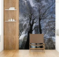 Ethereal Tree Silhouette wall mural of bare trees in a hallway beside a wood-slat wall and leather chair