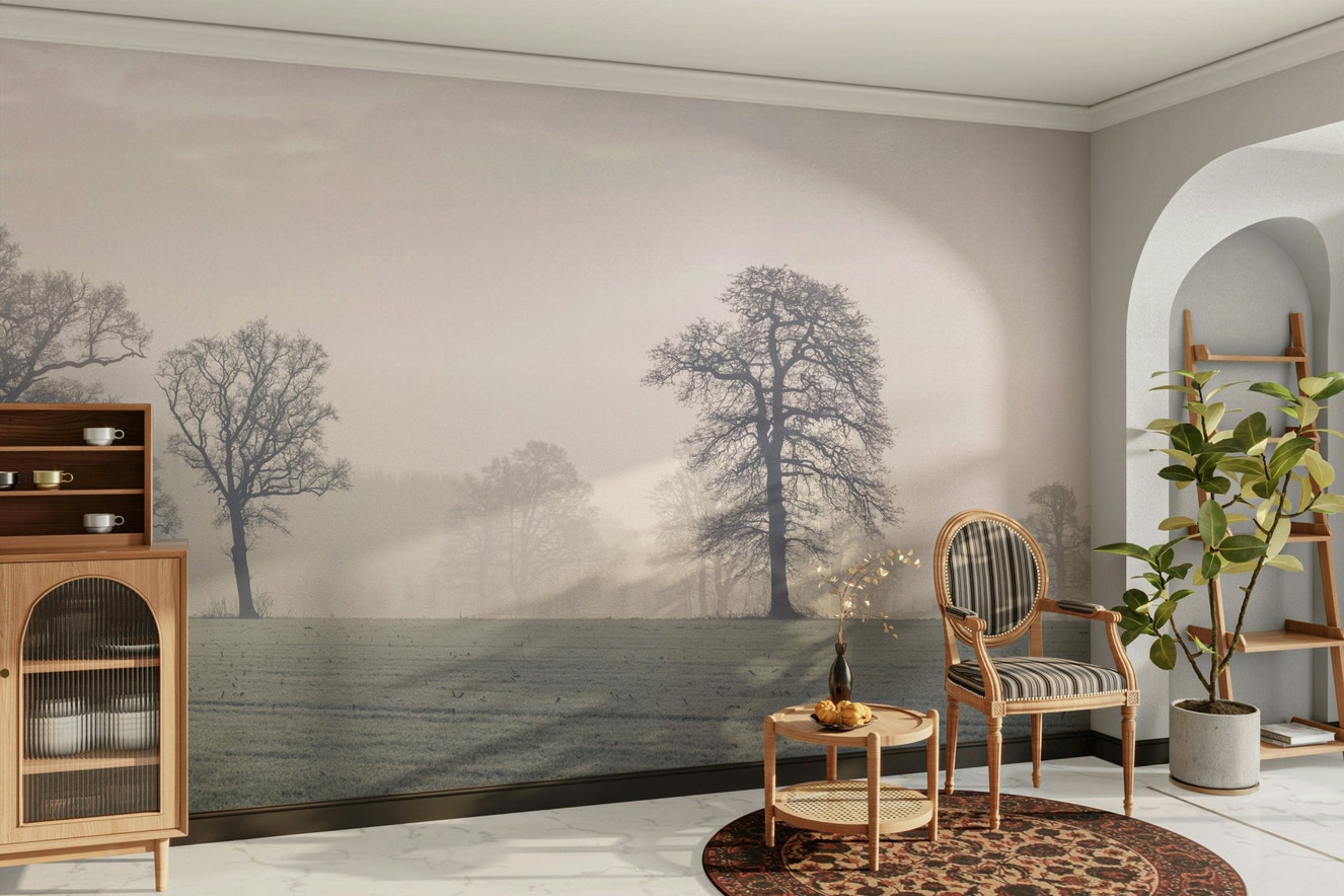 Flowing forms of trees and light.

