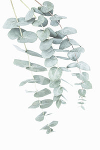 Organic design with a light and airy feel.

