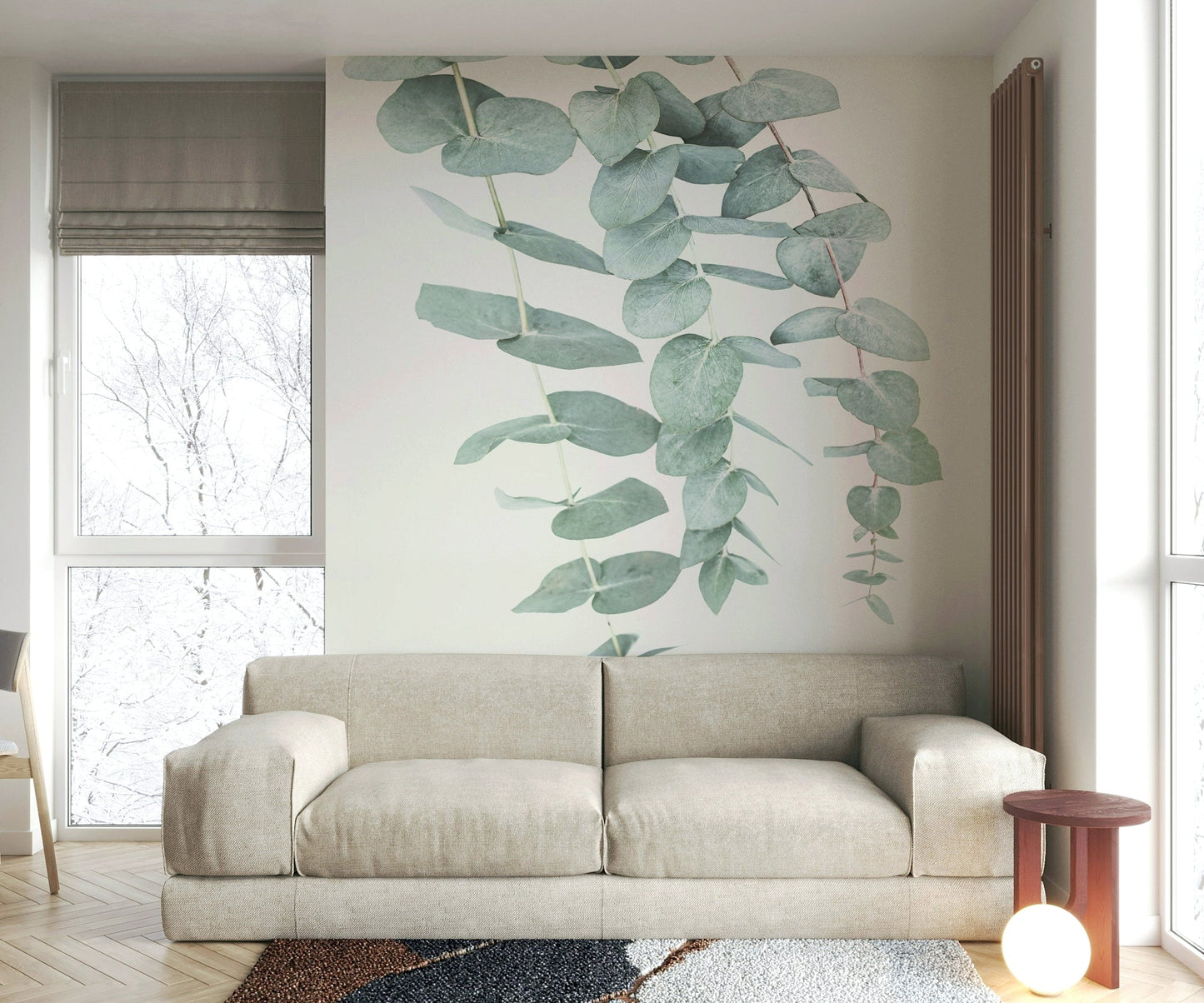 Delicate eucalyptus branches.

