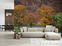 A cozy fall forest wallpaper with vibrant foliage and layered autumn tones.