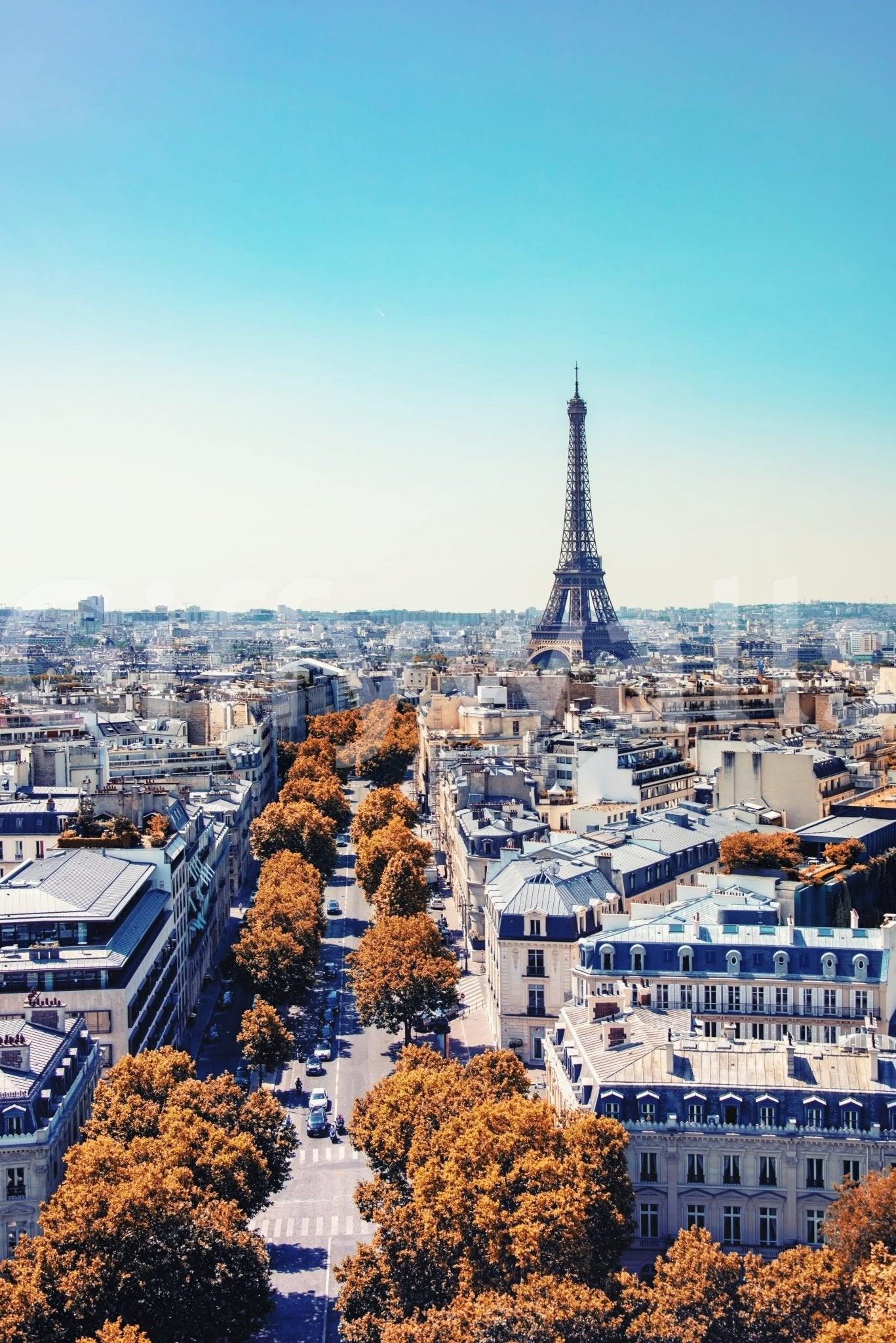 Fall in Paris Wall Mural