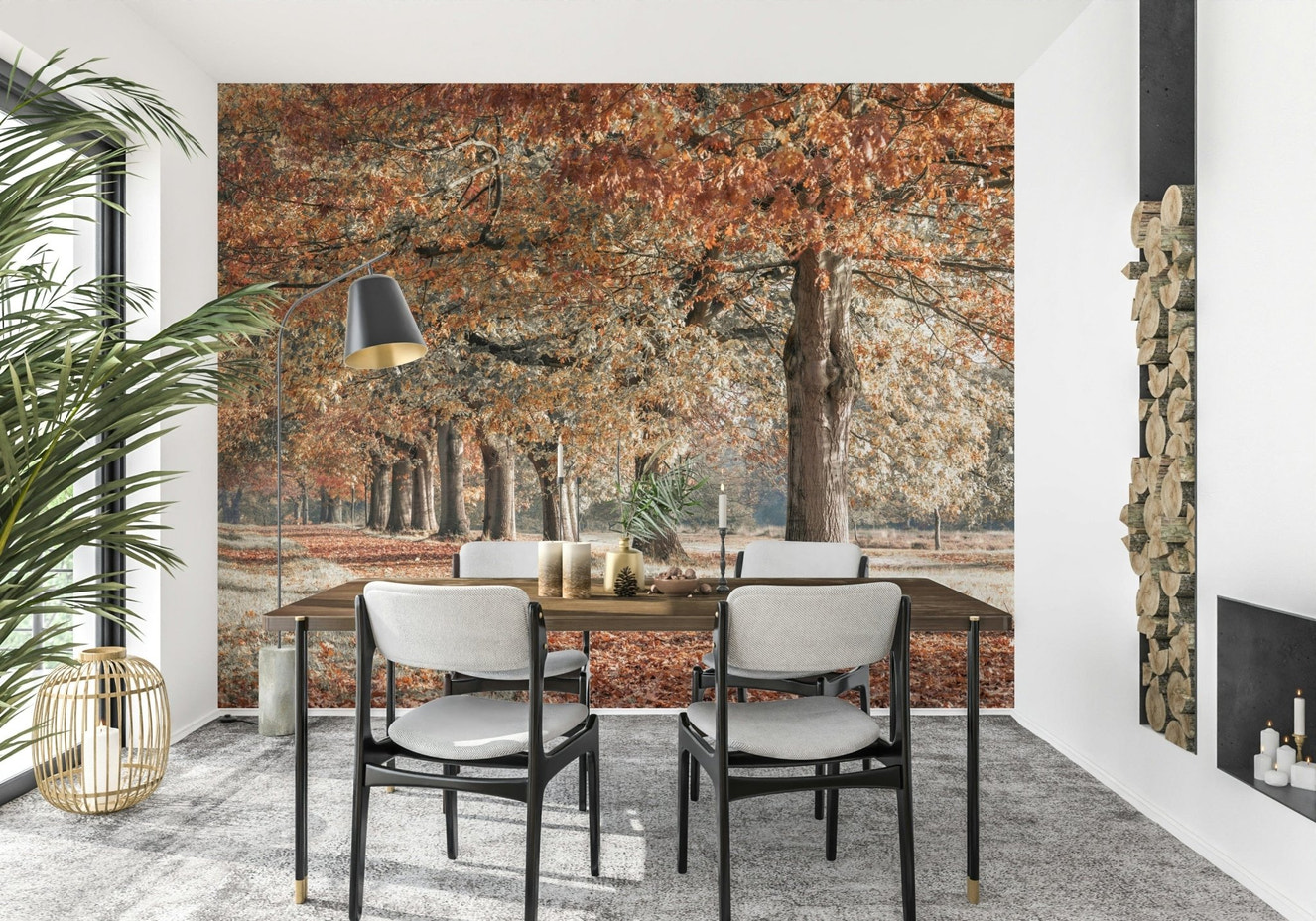 Autumn tree avenue wall mural in soft light