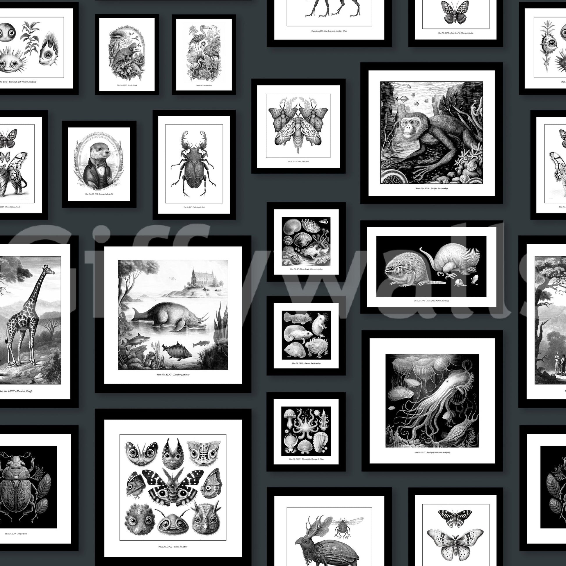 Mysterious creature design on deep grey wallpaper

