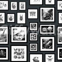 Mysterious creature design on deep grey wallpaper

