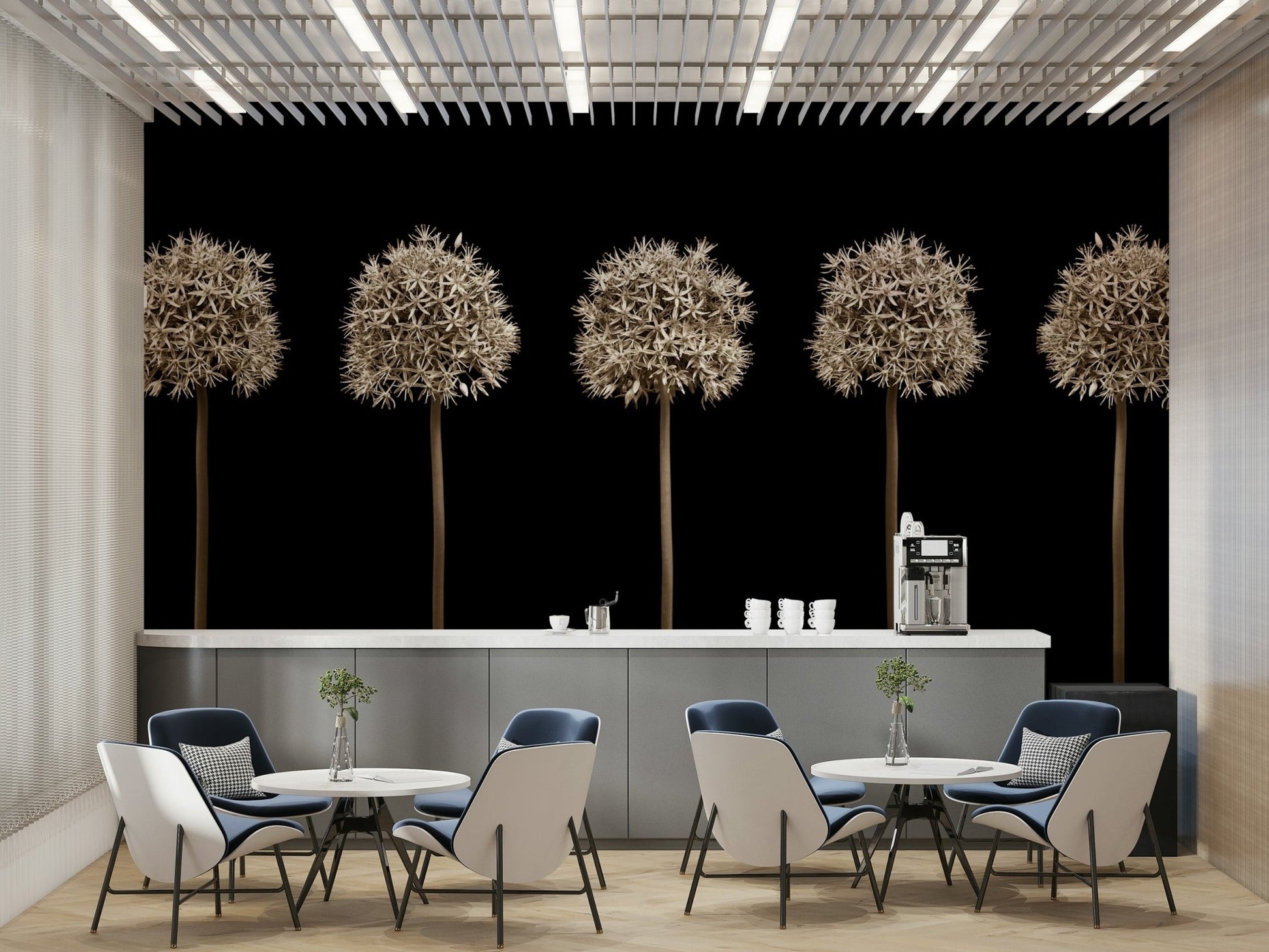 Five allium seed heads in a row.

