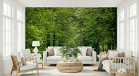 Peaceful woodland wall mural with winding road