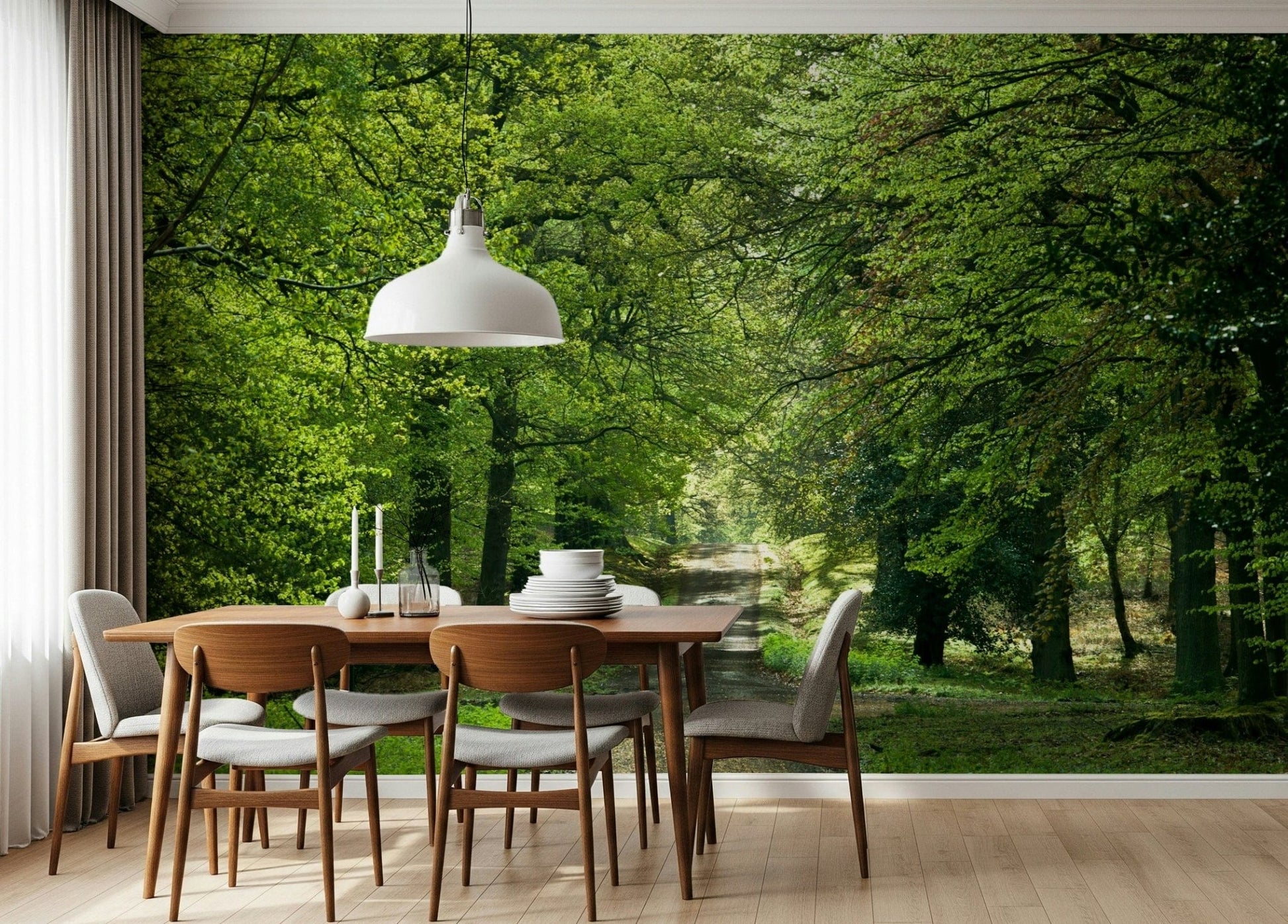 Lush woodland wall mural with sunlit trail