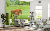 Minimal farmhouse kids room mural, foal in field, soft color wash