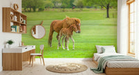 Farm animal wall mural for playroom, foal illustration in warm neutrals