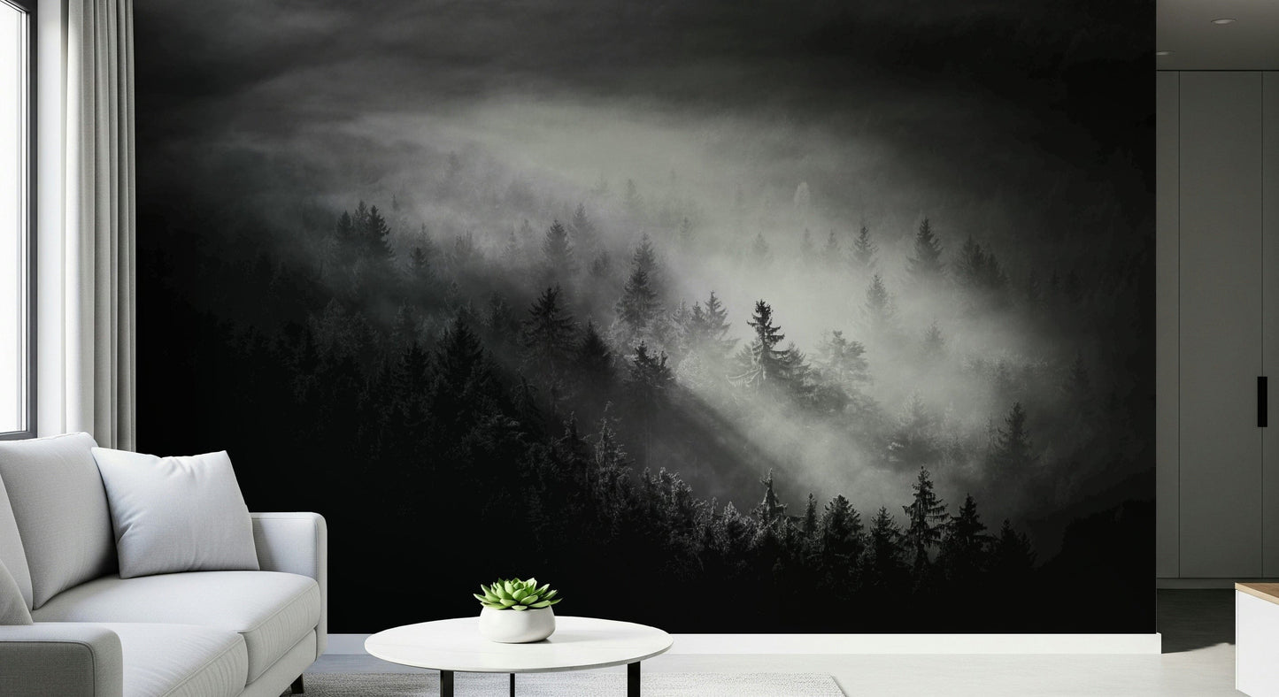 Wall mural Foggy Forest Woodland, shadowy woods, inspiring powerful ambiance.