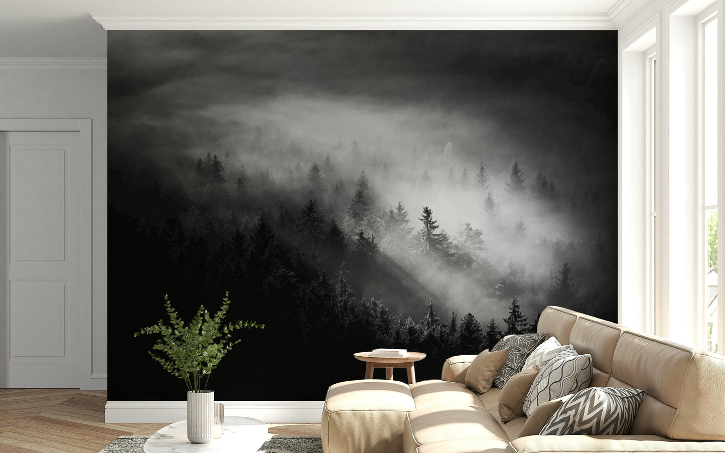 Pine trees shrouded in fog, dark mysterious landscape, Foggy Forest Woodland piece.