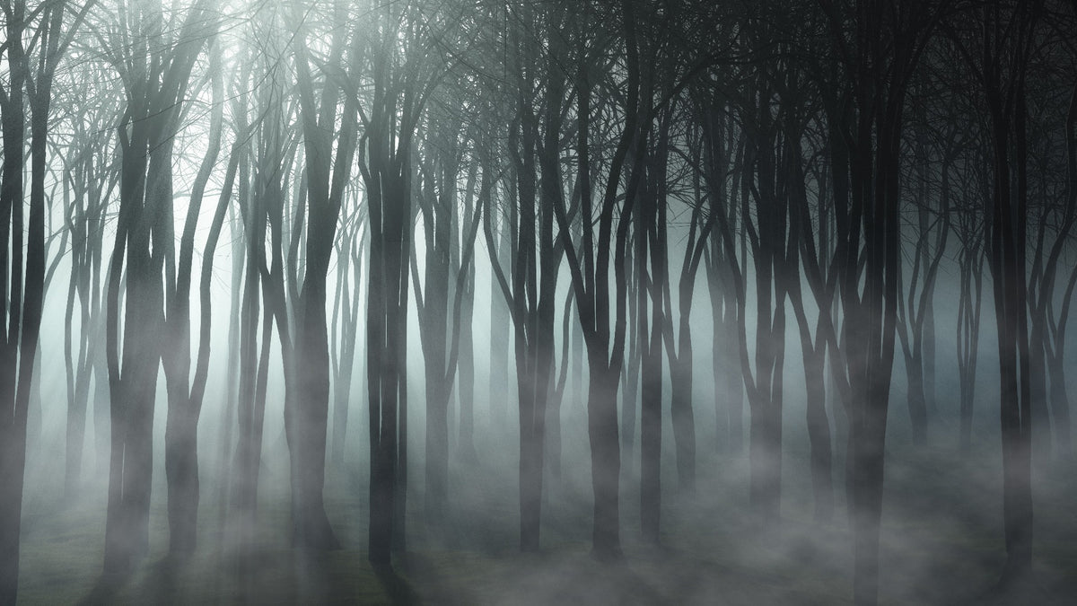 Misty Forest Halloween Peel and Stick Wallpaper for Decor
