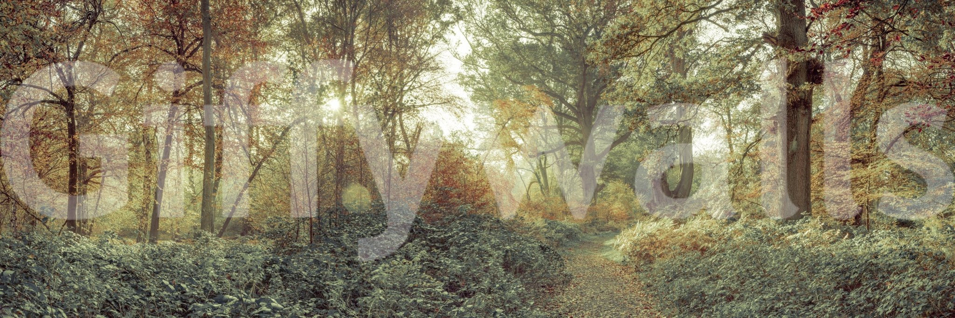 Classic Forest Glow Wall Mural with detailed branch and leaf textures.
