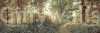 Classic Forest Glow Wall Mural with detailed branch and leaf textures.