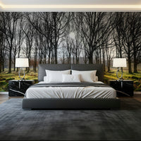 Mossy forest wallpaper showing symmetrical rows of trees illuminated by bright daylight.