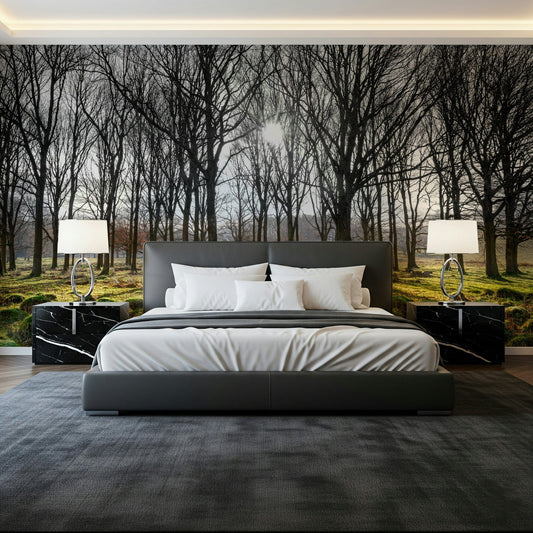 Mossy forest wallpaper showing symmetrical rows of trees illuminated by bright daylight.