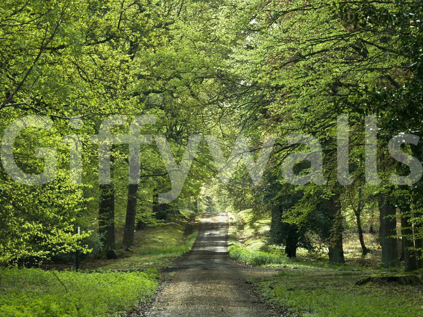 Escape into the woods with the Flourishing Path wall mural design.