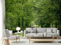 Bright foliage surrounding a dirt road, Flourishing Path wall art.