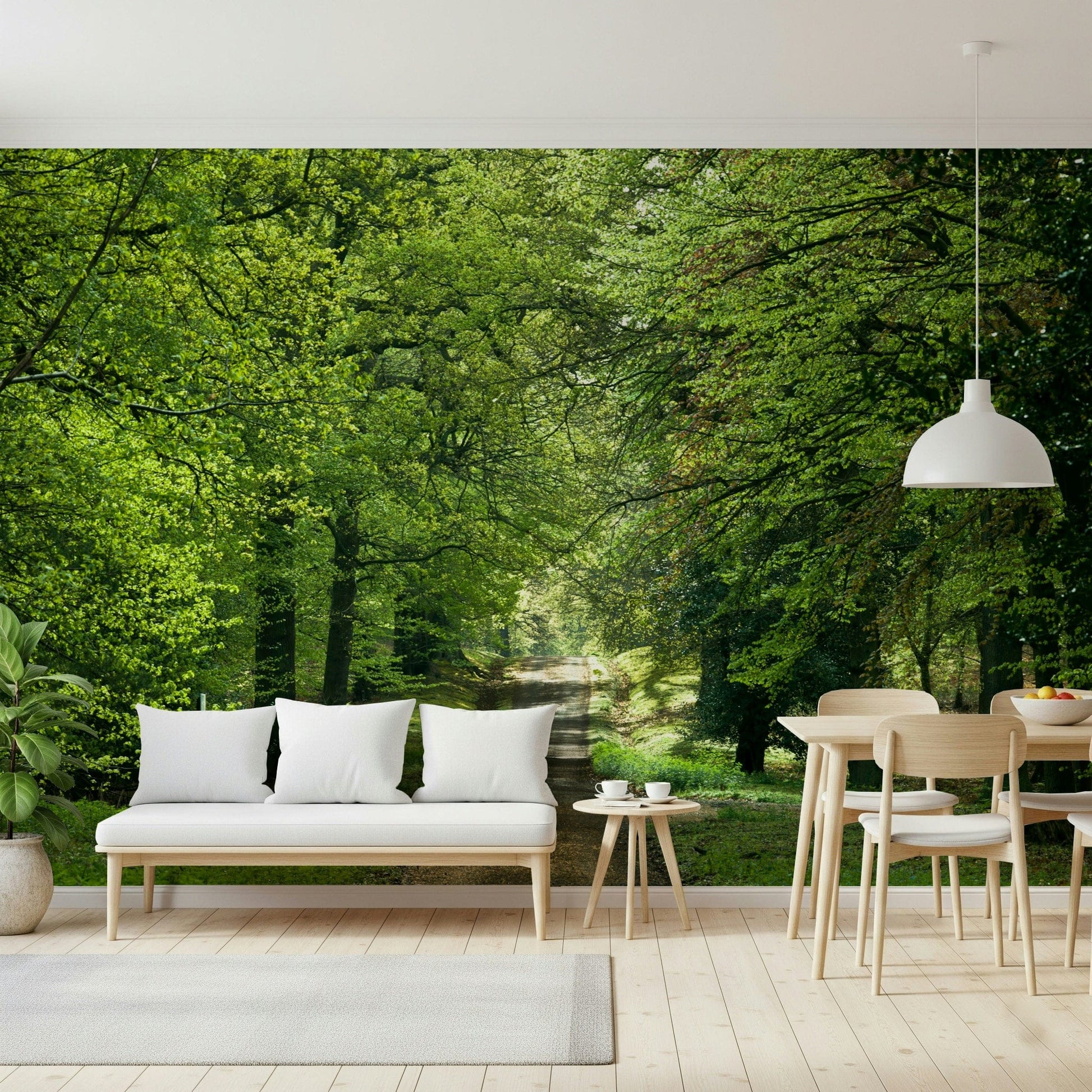 Forest trail stretching into light, Flourishing Path wallpaper for walls art.