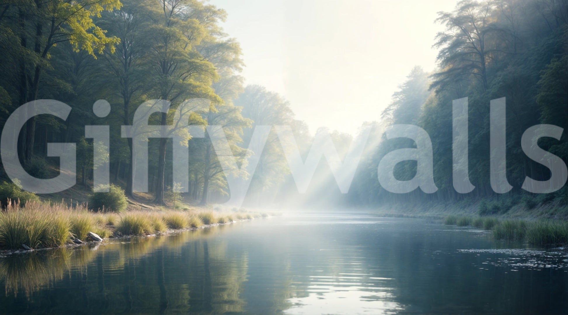 Forest River Reverie wallpaper mural shown as a full-wall mural of a misty green forest with sun rays over a calm reflective river