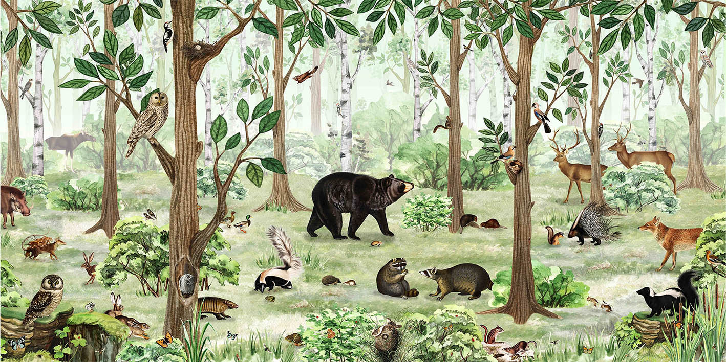 Forest Lookbook Wallpaper Murals in your room — zoomed