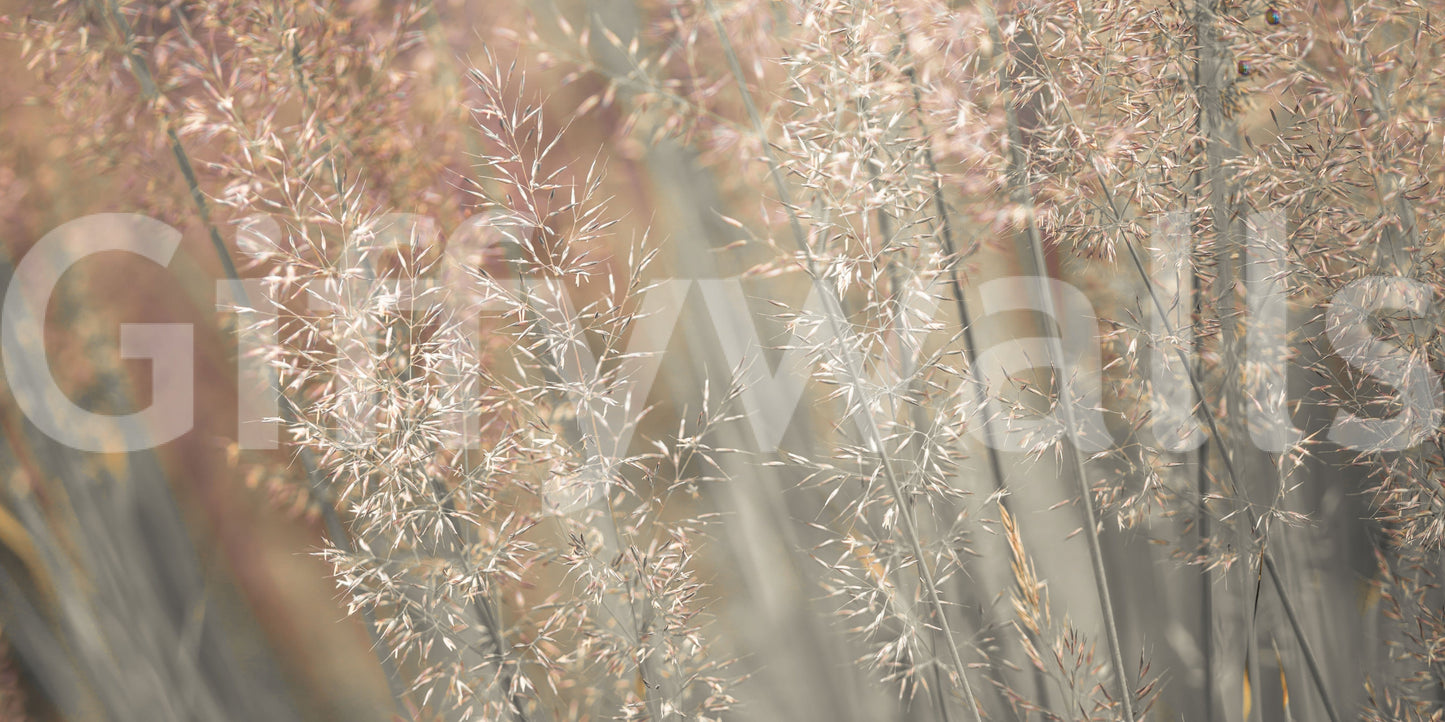 Elegant botanical mural with swaying ornamental grass creating a calm, serene atmosphere.