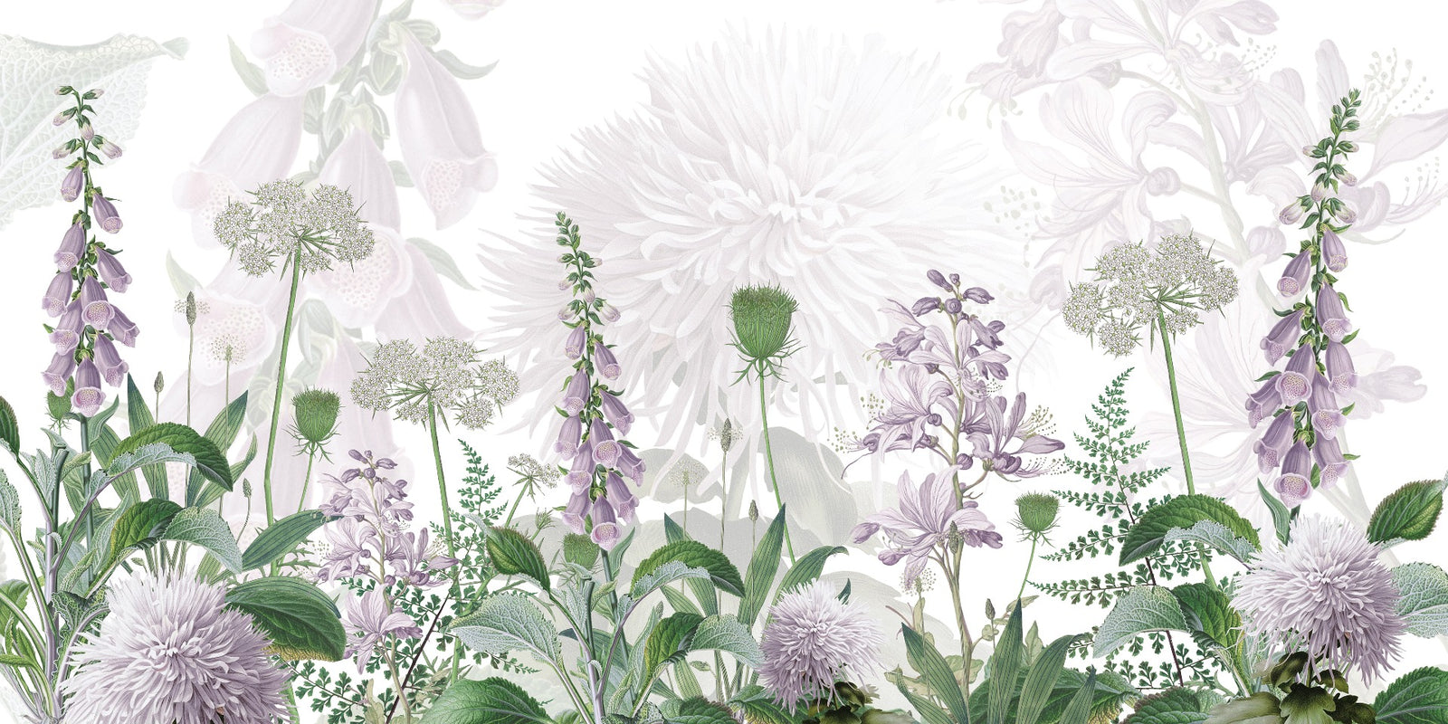 Foxglove Purple color Flowers wallpapers murals