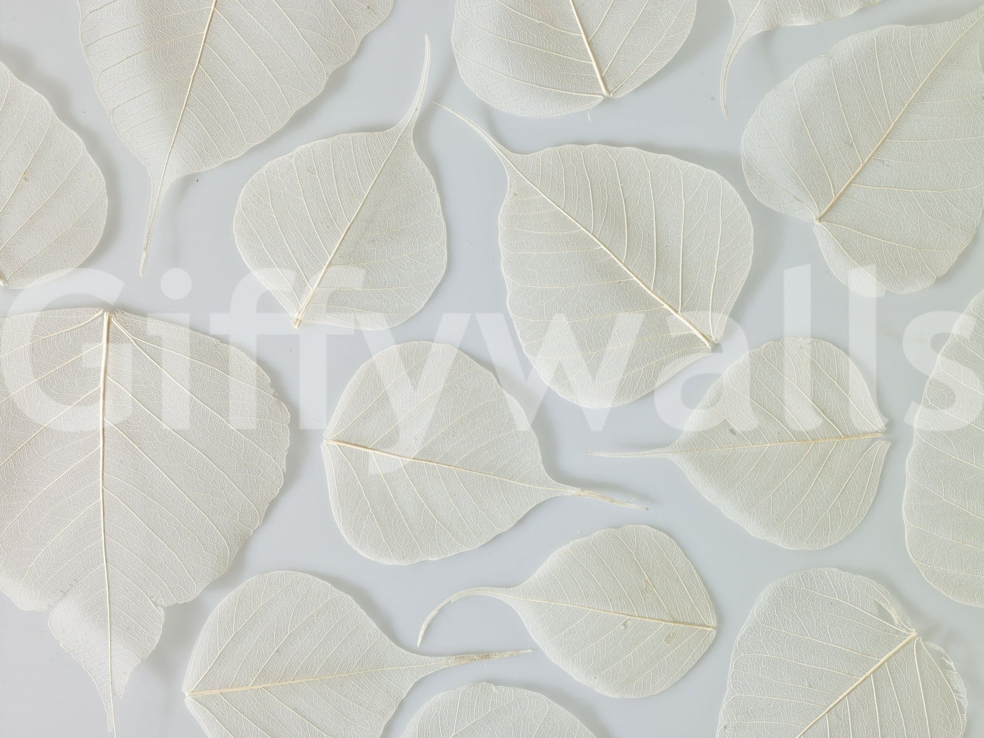 Elegance ethereal white mural unique natural artistry.