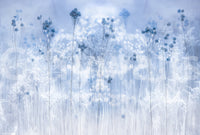 Frosted Dreams Wall Mural -2431561