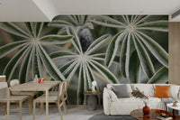 A minimalist interior with the lupine-themed wallpaper.