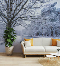 Quiet winter scene wallpaper with snow and ice

