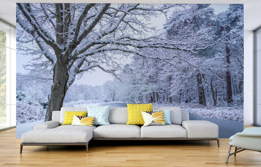 Snow-covered trees beside frozen stream mural

