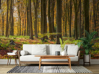 Breathtaking Gilded Woods forest path photographic wall art poster.