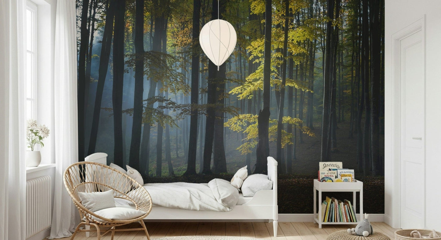 Golden autumn leaves define Glimmering Forest Woodland for walls.