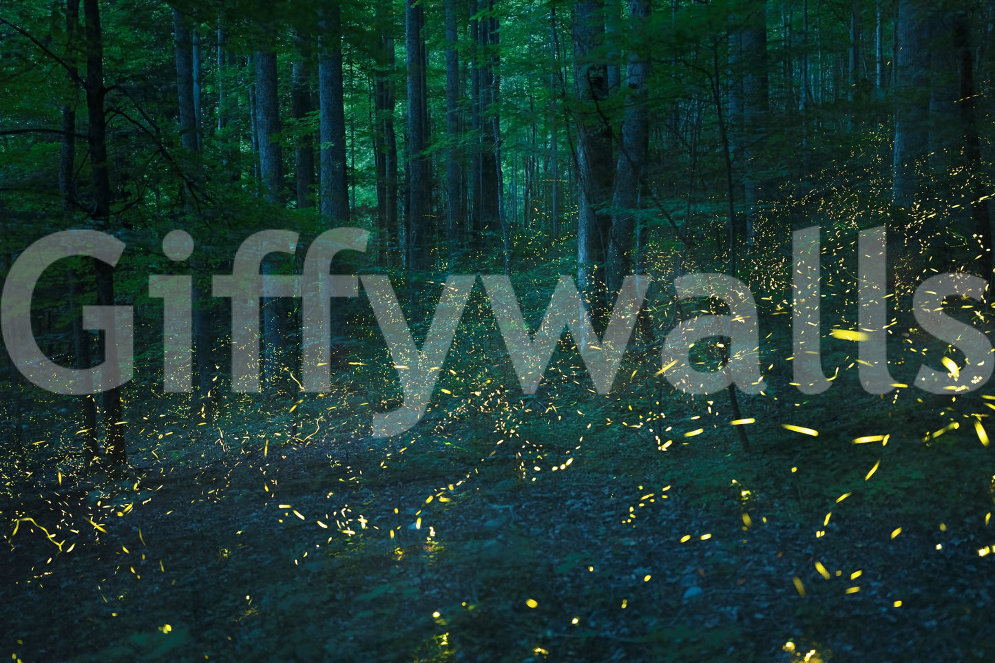 Glowbug Grove Wall Mural -2536735