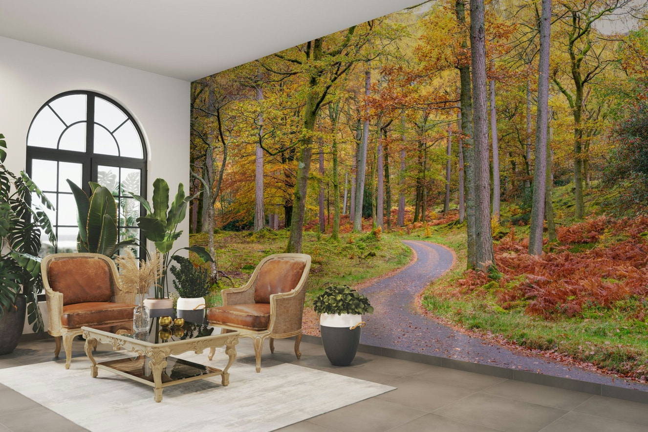 Golden Autumn Drive wall mural with vibrant fall foliage.

