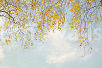 Inspiring Autumn Hues Woodland print, watercolor effect, exclusive wallpaper.