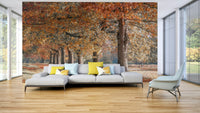 Beautiful autumn path wallpaper mural for a nature-filled room.

