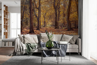 Artistic hallway Golden Forest Scene Wall Mural featuring birch tree patterns.