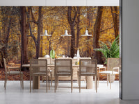 Modern dining area Golden Forest Scene Wall Mural showing a golden tree canopy.