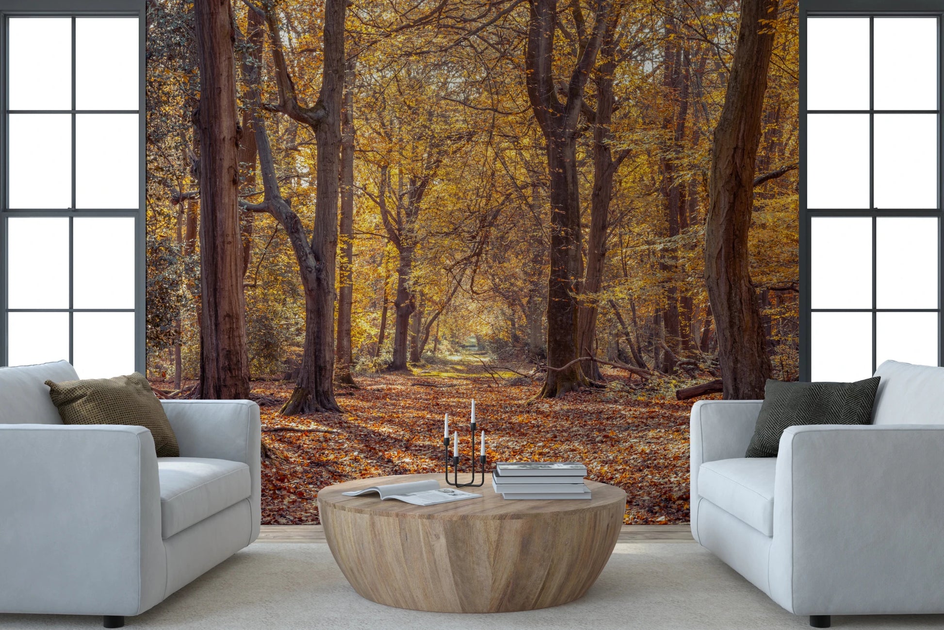 Bright Golden Forest Scene Wall Mural displaying sunlit forest paths.